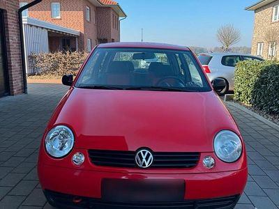 Gebraucht VW Lupo 50 PS (36 kW) 1999 Rot Kleinwagen