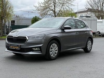 Gebraucht Skoda Fabia Active 80 PS (58 kW) 2022 Graphitegrau metallic Kleinwagen