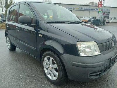 Gebraucht Fiat Panda Active 54 PS (39 kW) 2009 Blau Kleinwagen
