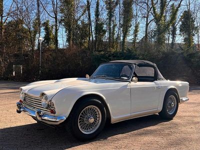 Gebraucht Triumph TR4 105 PS (77 kW) 1963 Weiß Cabrio