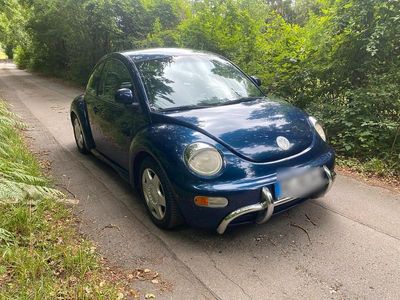 VW Beetle