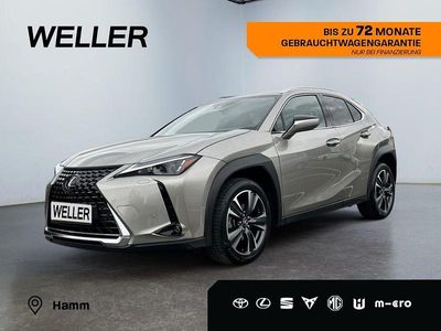 Lexus UX 250h