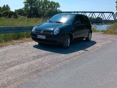 gebraucht VW Lupo 1.7 SDI