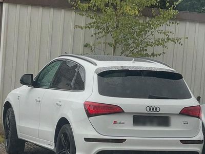 Gebraucht Audi SQ5 S-Line 180 PS (132 kW) 2014 Weiß SUV