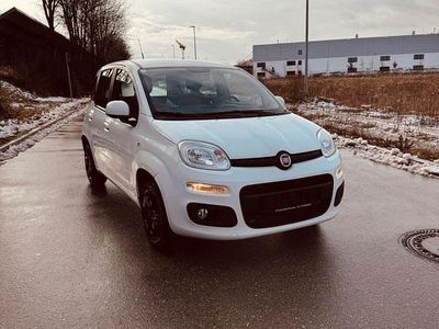 Gebraucht Fiat Panda Lounge 86 PS (63 kW) 2017 Weiß Kleinwagen