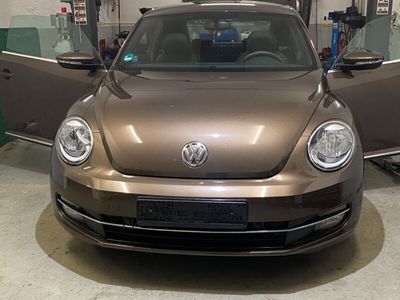 gebraucht VW Beetle -