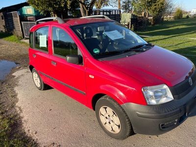 gebraucht Fiat Panda 1.0 TÜV neu