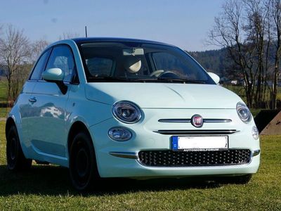 gebraucht Fiat 500 69PS/ Panoramadach/ Mintgrün