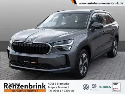 Gebraucht Skoda Kodiaq Selection 204 PS (150 kW) 2025 Grau SUV
