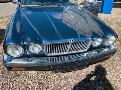 Gebraucht Jaguar XJ12 295 PS (216 kW) 1986 Blau Limousine