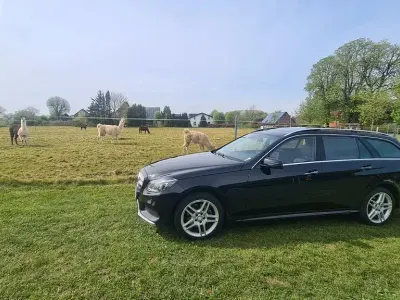 Usata Mercedes E250 204 CV (150 kW) 2013 Nero Berlina
