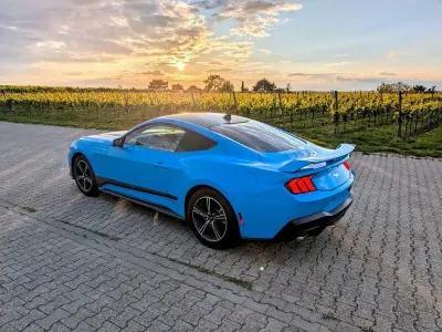 Gebraucht Ford Mustang 320 PS (235 kW) 2024 Blau