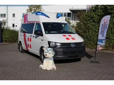 Gebraucht VW T6 150 PS (110 kW) 2019 Candyweiss Van