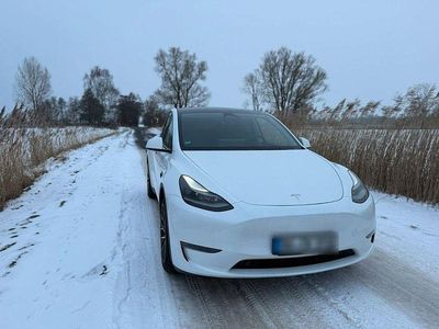 Gebraucht Tesla Model Y Long Range AWD 378 kW (514 PS) 2023 Weiß SUV