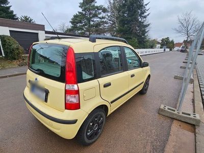 gebraucht Fiat Panda 1.2