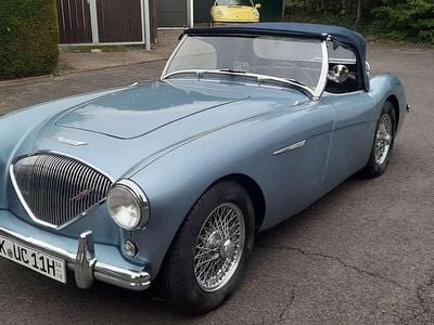 Gebraucht Austin Healey 100 90 PS (66 kW) 1955 Blau Cabrio