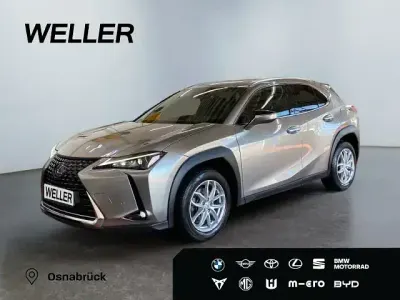 Gebraucht Lexus UX 250h 184 PS (135 kW) 2023 Silber SUV