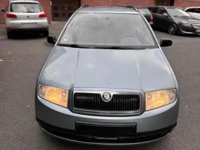 Usata Skoda Fabia