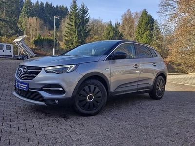 Gebraucht Opel Grandland X 131 PS (96 kW) 2019 Grau SUV