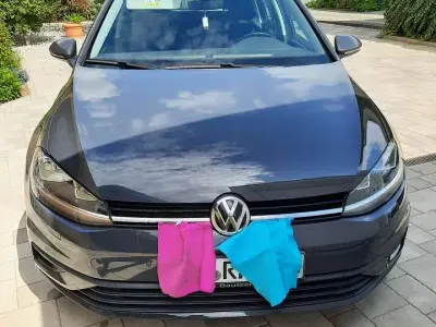 Gebraucht VW Golf VII Trendline 116 PS (85 kW) 2017 Grau Kombi