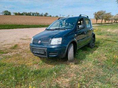 gebraucht Fiat Panda 4x4 TÜV neu 8 fach bereift