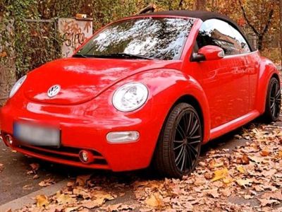 gebraucht VW Beetle Top