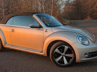 VW Beetle