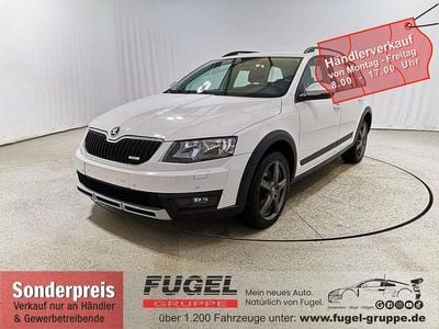 Gebraucht Skoda Octavia Scout 4x4 184 PS (135 kW) 2015 Candyweiss Limousine