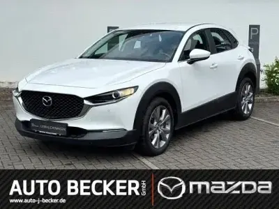 Gebraucht Mazda CX-30 Selection 122 PS (89 kW) 2022 Weiss SUV
