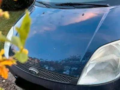 Usata Ford Fiesta 75 CV (55 kW) 2003 Blu Utilitaria