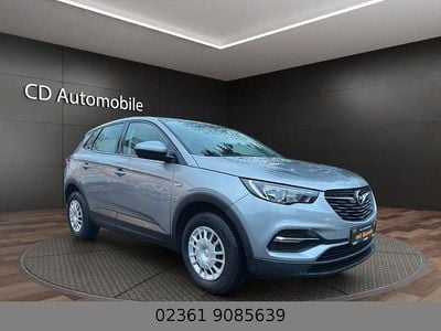 Gebraucht Opel Grandland X Selection 131 PS (96 kW) 2019 Grau SUV