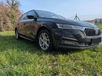Gebraucht Skoda Octavia Style 150 PS (110 kW) 2020 Schwarz Kombi