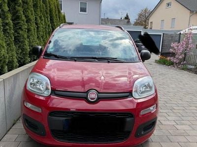 Gebraucht Fiat Panda 69 PS (50 kW) 2014 Rot Kleinwagen