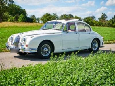 Gebraucht Jaguar MK II 160 PS (117 kW) 1963 Weiß Limousine
