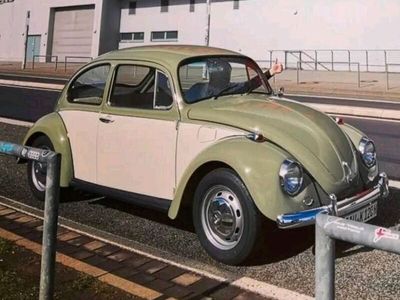 gebraucht VW Käfer 1200 / 1300 1969 Sparbody off vollrestauriert