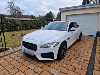 Gebraucht Jaguar XF S 381 PS (280 kW) 2017 Weiß Limousine