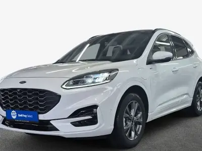 Gebraucht Ford Kuga ST-Line X 224 PS (164 kW) 2022 Weiß SUV