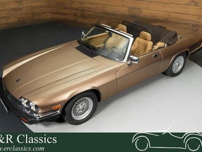 Gebraucht Jaguar XJS 265 PS (194 kW) 1990 Braun Cabrio