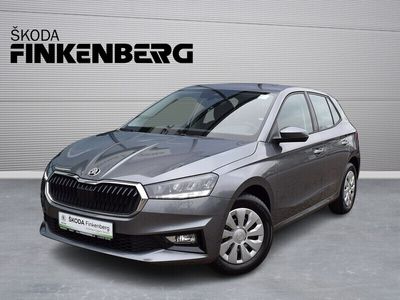 gebraucht Skoda Fabia 1.0 Active *LED*GRA*PDC*MFL*DAB