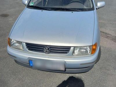 VW Polo