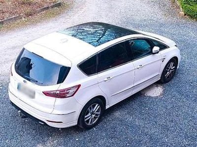Usata Ford S-MAX Vignale 190 CV (139 kW) 2019 Bianco Monovolume