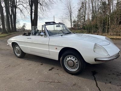 Gebraucht Alfa Romeo Spider 109 PS (80 kW) 1967 Weiß Cabrio
