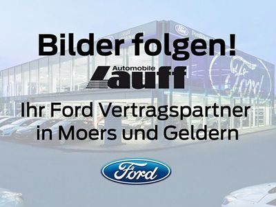 gebraucht Ford Transit 290 L2H2 Kasten LKW Trend 2.0l 130PS VA