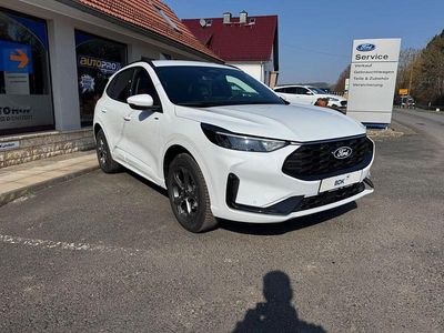 Neu Ford Kuga ST-Line 186 PS (136 kW) 2026 Weiß SUV