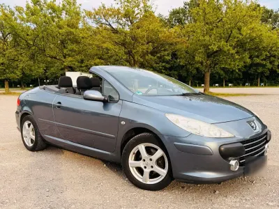 Gebraucht Peugeot 307 CC 109 PS (80 kW) 2009 Grau Cabrio
