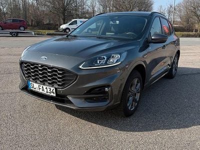 Gebraucht Ford Kuga ST-Line X 152 PS (111 kW) 2023 Grau SUV