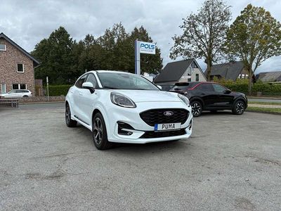 Neu Ford Puma ST-Line 125 PS (91 kW) 2025 Frost weiß SUV
