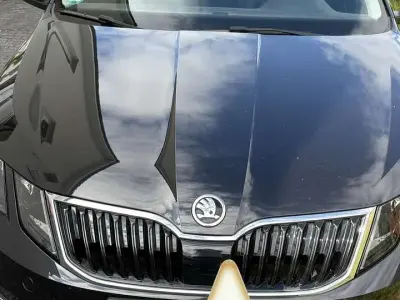 Gebraucht Skoda Octavia Style 116 PS (85 kW) 2019 Schwarz Kombi