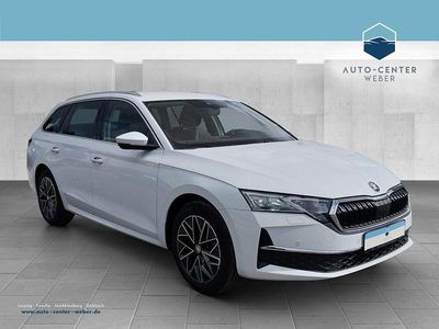 Gebraucht Skoda Octavia Selection 150 PS (110 kW) 2024 Weiß Kombi