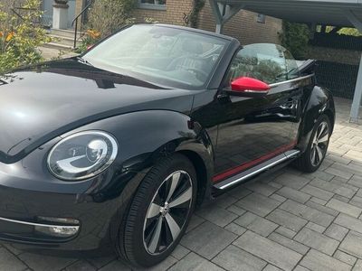 gebraucht VW Beetle Cabrio 2.0 TDI BMT Club, DSG, Navi, Kamera